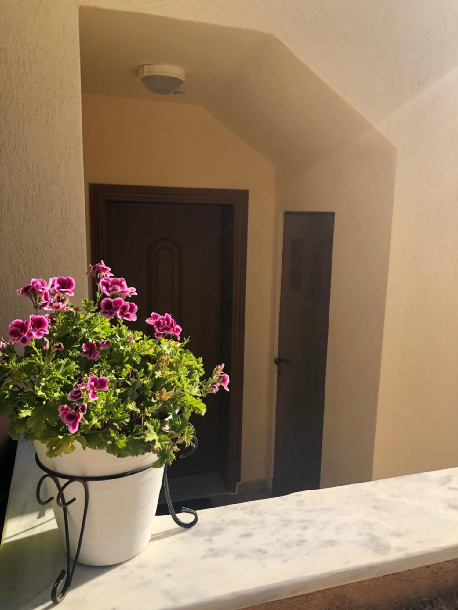 Artemis House Apartment Ngoại thất bức ảnh